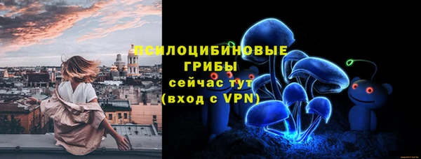 дурь Белоозёрский