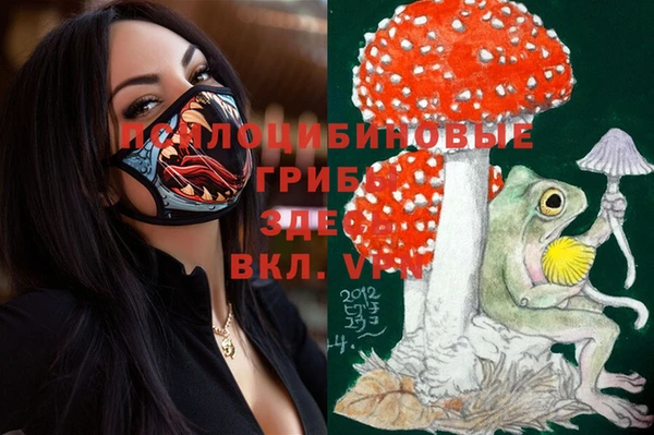 круглые Белокуриха