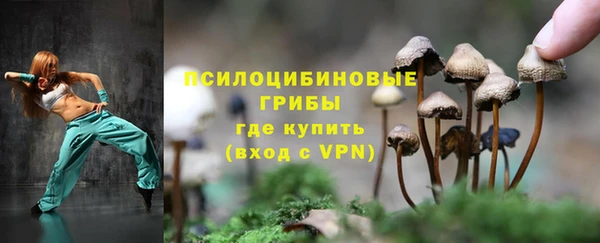 прущие грибы Арсеньев