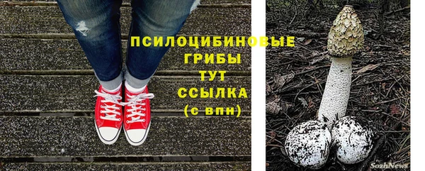 дживик Балабаново