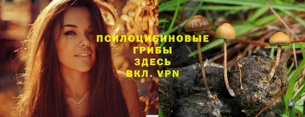 круглые Белокуриха