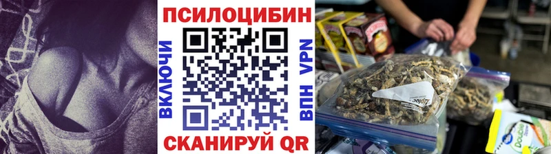 дарнет шоп  Голицыно  Галлюциногенные грибы MAGIC MUSHROOMS 